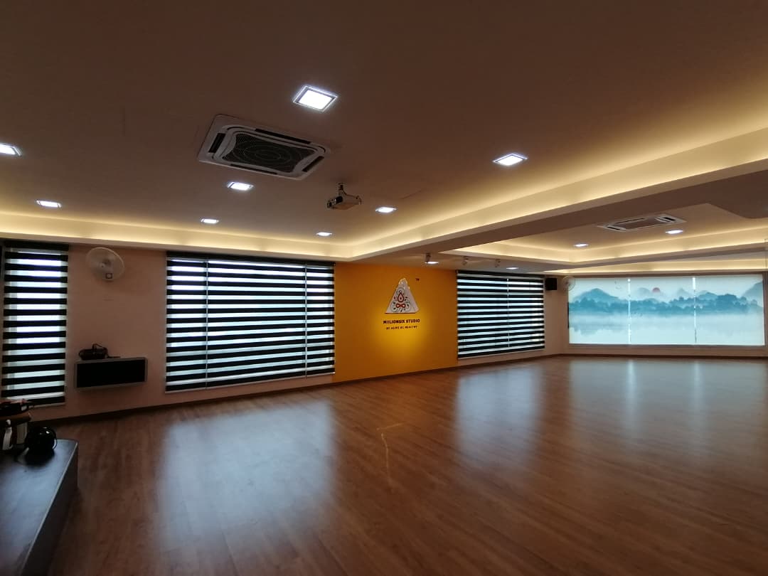 ZEBRA BLINDS
